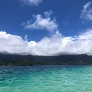 Meet your Posher, Kyra